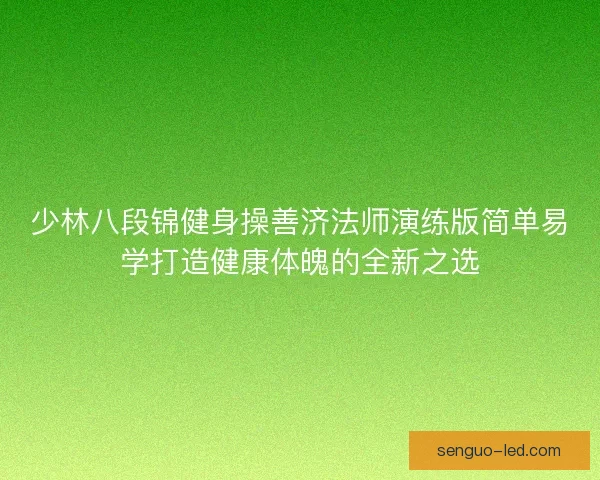 少林八段锦健身操善济法师演练版简单易学打造健康体魄的全新之选