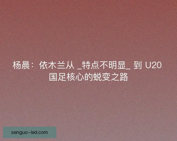 杨晨：依木兰从 _特点不明显_ 到 U20 国足核心的蜕变之路