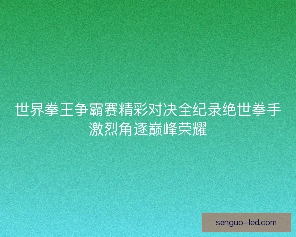 世界拳王争霸赛精彩对决全纪录绝世拳手激烈角逐巅峰荣耀