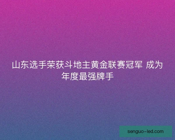 山东选手荣获斗地主黄金联赛冠军 成为年度最强牌手