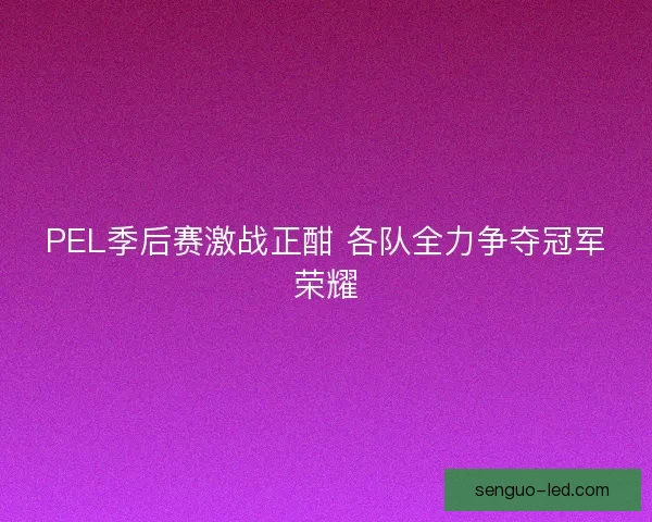 PEL季后赛激战正酣 各队全力争夺冠军荣耀