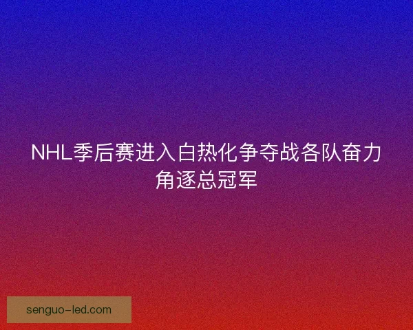 NHL季后赛进入白热化争夺战各队奋力角逐总冠军